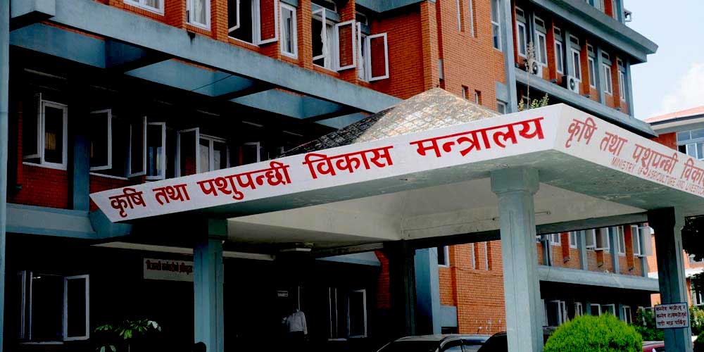 कृषि मन्त्रालयको त्रैमासिक समीक्षा : बजेट खर्च साढे २३ प्रतिशत, कृषि उपजको आयात घट्यो