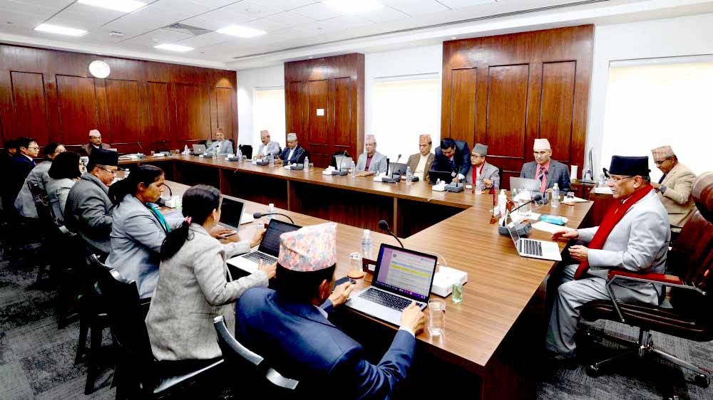 योजना आयोगकाे सदस्यमा ज्ञवाली, शाक्य र महत नियुक्त