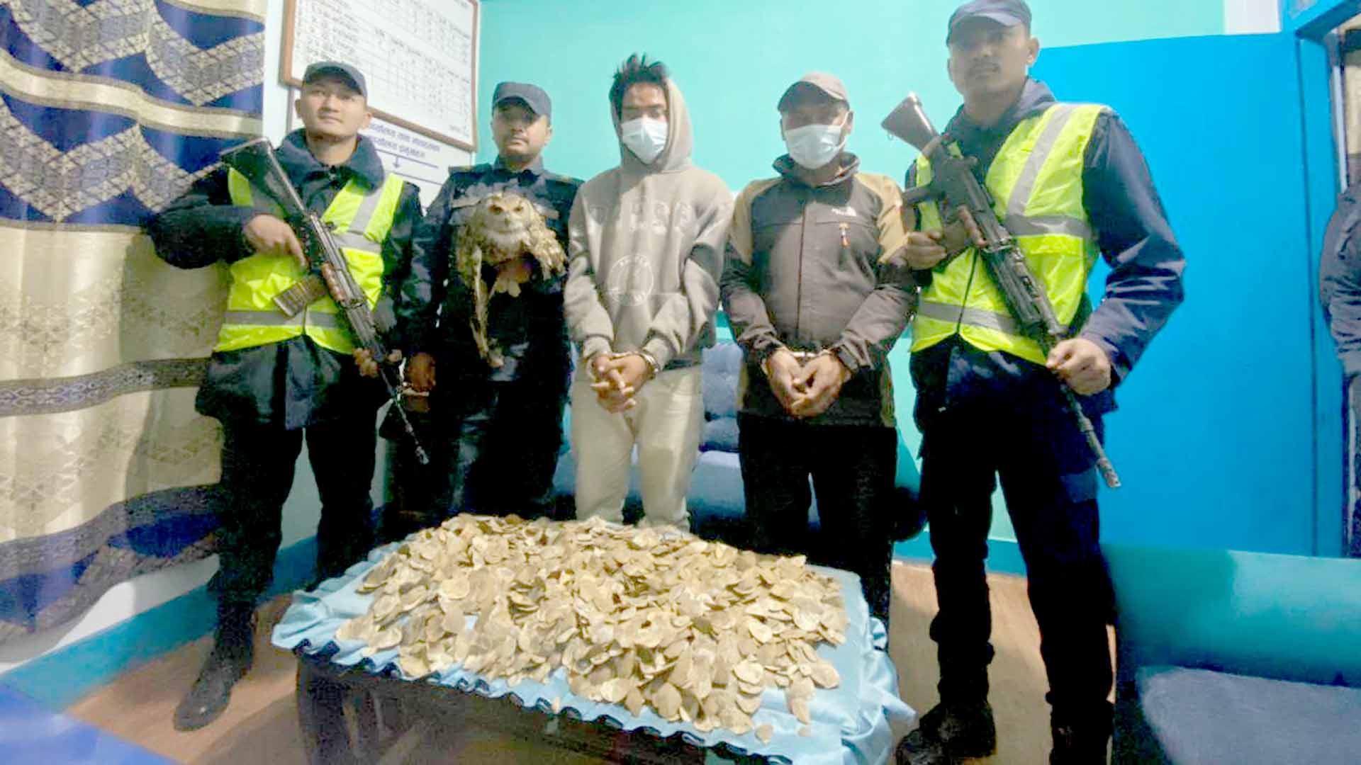 नौविसेबाट सालकको खपटा र जिउँदो हुइचिलसहित २ जना पक्राउ