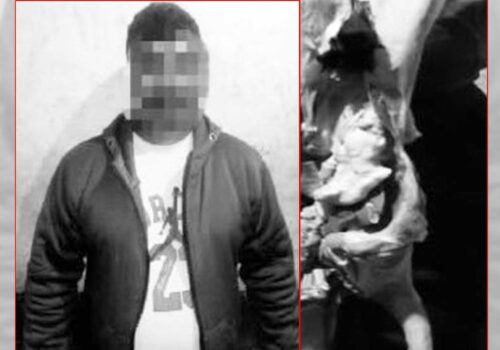बाख्राको मासुमा खसीको अण्डकोष सिलाएर बेच्ने एक जना पक्राउ