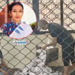 ca794d92-9c68-47c1-8603-78667792fce7